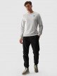 mini: Męskie spodnie casual joggery 4F 4FWMM00TTROM0944 - czarny (1)