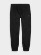 mini: Męskie spodnie casual joggery 4F 4FWMM00TTROM0944 - czarny (5)