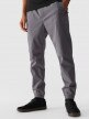 Męskie spodnie casual joggery 4F 4FWMM00TTROM0944 - szary