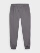 Męskie spodnie casual joggery 4F 4FWMM00TTROM0944 - szary