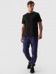 4F Męskie spodnie casual joggery 4F 4FWMM00TTROM0944  granatowy Granat