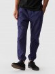 Męskie spodnie casual joggery 4F 4FWMM00TTROM0944 - granatowy
