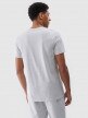 Męski t-shirt basic 4F 4FWMM00TTSHM2256 - szary
