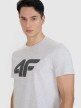 Męski t-shirt z nadrukiem 4F 4FWMM00TTSHM2658 - szary