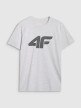 Męski t-shirt z nadrukiem 4F 4FWMM00TTSHM2658 - szary