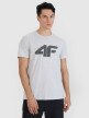 Męski t-shirt z nadrukiem 4F 4FWMM00TTSHM2658 - szary