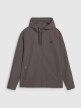 Męska bluza treningowa 4F 4FWSS25TFSWM458 - brązowa