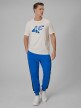 mini: Męski t-shirt z nadrukiem 4F 4FWSS26TTSHM2667 - beżowy (2)