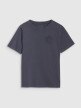 4F Damski tshirt z nadrukiem 4F 4FWSS25TTSHF1988  szary Szary