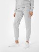 mini: Damskie spodnie dresowe 4F 4FMM00TTROF335 - szare (4)
