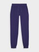 Damskie spodnie dresowe joggery 4F 4FWMM00TTROF1138 - granatowe