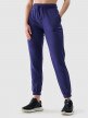 Damskie spodnie dresowe joggery 4F 4FWMM00TTROF1138 - granatowe