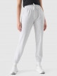 4F Damskie spodnie dresowe joggery 4F 4FWMM00TTROF1138  szare  Szary