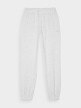 Damskie spodnie dresowe joggery 4F 4FWMM00TTROF1138 - szare 