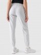 Damskie spodnie dresowe joggery 4F 4FWMM00TTROF1138 - szare 