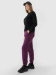 Damskie spodnie dresowe joggery 4F 4FWSS25TTROF1013 - fioletowe