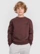 4F JUNIOR Chłopięca bluza nierozpinana bez kaptura 4F 4FJRAW25TSWSM2413  brązowa Brązowy