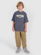Chłopięcy t-shirt oversize z nadrukiem 4F 4FJRAW25TTSHM3209 - szary