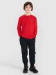 Chłopięcy longsleeve z nadrukiem 4F 4FJRSS25TLONM538 - czerwony
