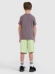 Chłopięcy t-shirt z nadrukiem 4F 4FJRSS25TTSHM2643 - szary