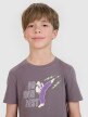Chłopięcy t-shirt z nadrukiem 4F 4FJRSS25TTSHM2643 - szary