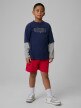 mini: Chłopięce spodenki dresowe 4F 4FJRSS26TSHOM0866 - czerwone (5)