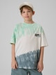  4F JUNIOR Chłopięcy tshirt z nadrukiem 4F 4FJRSS26TTSHM4172  multikolor Multikolor