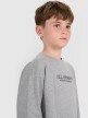 mini: Chłopięcy longsleeve z nadrukiem 4F 4FJWAW25TLONM485 - szary (4)