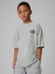  4F JUNIOR Chłopięcy tshirt z nadrukiem 4F 4FJWSS26TTSHM3014  szary Szary