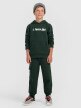 mini: Chłopięca bluza dresowa nierozpinana z kapturem 4F 4FJRAW25TSWSM2416 - zielona (2)