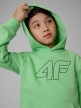 mini: Chłopięca bluza nierozpinana z kapturem 4F 4FJRSS26TSWSM2748 - zielona (4)
