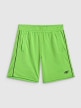 mini: Chłopięce spodenki treningowe 4F 4FJRSS26TFSHM1693 - zielone (7)