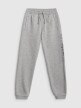 mini: Chłopięce spodnie dresowe 4F 4FJRSS26TTROM1733 - szare (8)