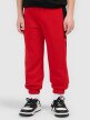 mini: Chłopięce spodnie dresowe 4F 4FJRSS26TTROM1874 - czerwone (2)