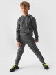 4F JUNIOR Chłopięce spodnie dresowe 4F 4FJWMM00TTROM0811  szare Szary