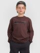 4F JUNIOR Chłopięcy longsleeve z nadrukiem 4F 4FJRAW25TLONM585  brązowy Brązowy