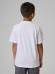 mini: Chłopięcy t-shirt basic (2-pack) 4F 4FJRSS26TTSHM4013 - multikolor (8)