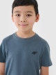 Chłopięcy t-shirt basic 4F 4FJWSS25TTSHM2178 - niebieski