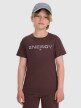 mini: Chłopięcy t-shirt z nadrukiem 4F 4FJRAW25TTSHM3167 - brązowy (1)