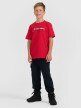 mini: Chłopięcy t-shirt z nadrukiem 4F 4FJRAW25TTSHM3168 - czerwony (5)