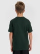 mini: Chłopięcy t-shirt z nadrukiem 4F 4FJRAW25TTSHM3168 - zielony (7)
