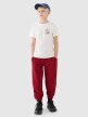 Chłopięcy t-shirt z nadrukiem 4F 4FJRSS25TTSHM2565 - biały
