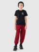 Chłopięcy t-shirt z nadrukiem 4F 4FJRSS25TTSHM2565 - czarny