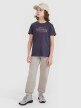 Chłopięcy t-shirt z nadrukiem 4F 4FJRSS25TTSHM2820 - szary