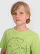Chłopięcy t-shirt z nadrukiem 4F 4FJWAW25TTSHM2413 - zielony