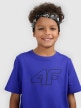 mini: Chłopięcy t-shirt z nadrukiem 4F 4FJWSS26TTSHM3007 - niebieski (4)
