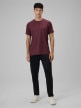 mini: Męska koszulka treningowa 4F 4FRSS26TFTSM2289 - burgundowa (7)