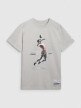 Męski t-shirt z nadrukiem 4F 4FRAW25TTSHM3318 - szary