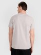 Męski t-shirt z nadrukiem 4F 4FRAW25TTSHM3318 - szary