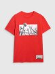 Męski t-shirt z nadrukiem 4F 4FRAW25TTSHM3319 - czerwony